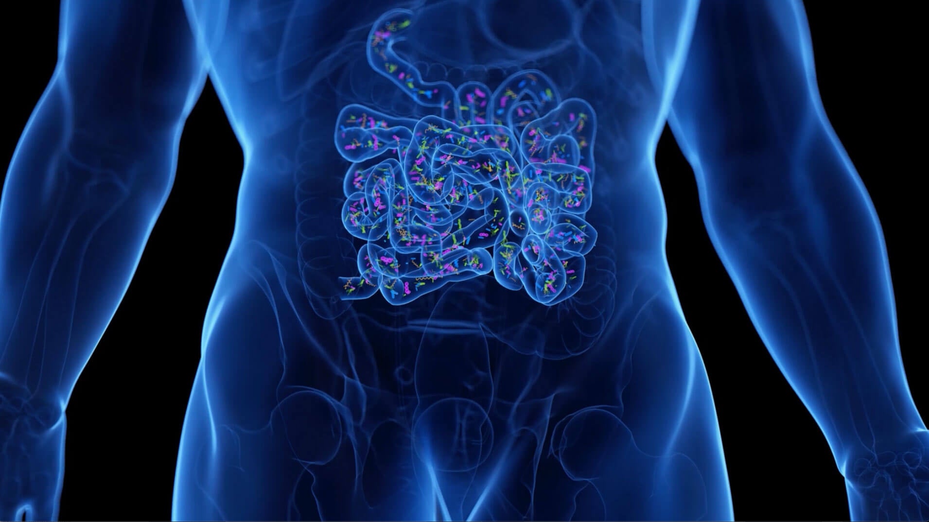Our system creates a digital twin for each user that is used to simulate the impact of various foods, diets and nutrients on your gut microbiome