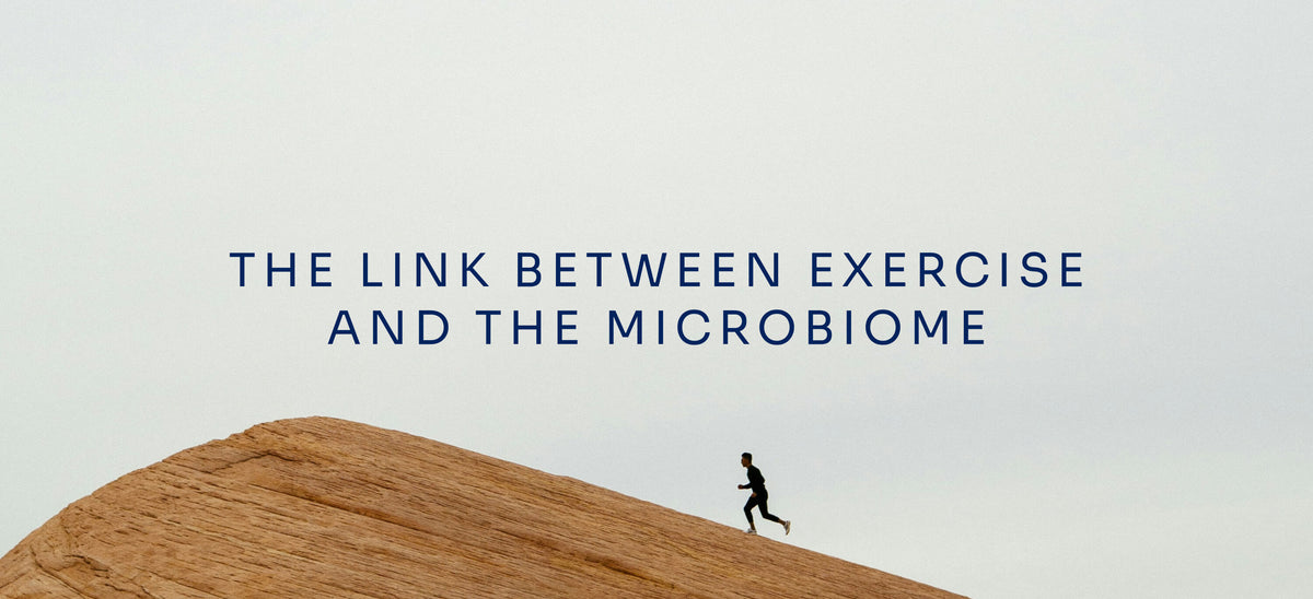 The Link Between Exercise and the Gut Microbiome