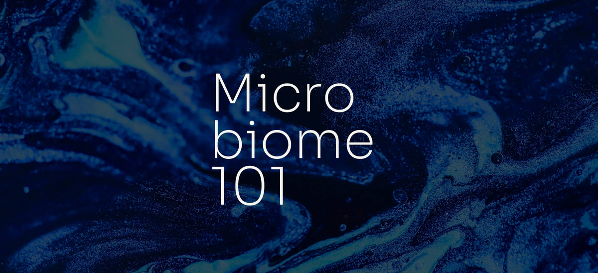 Microbiome 101: A Guide to Your Gut Microbiome