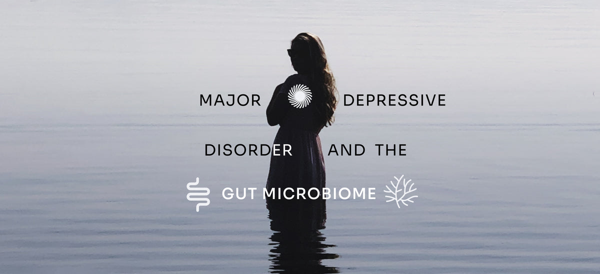 A Promising Connection: Major Depressive Disorder and the Gut Microbiome