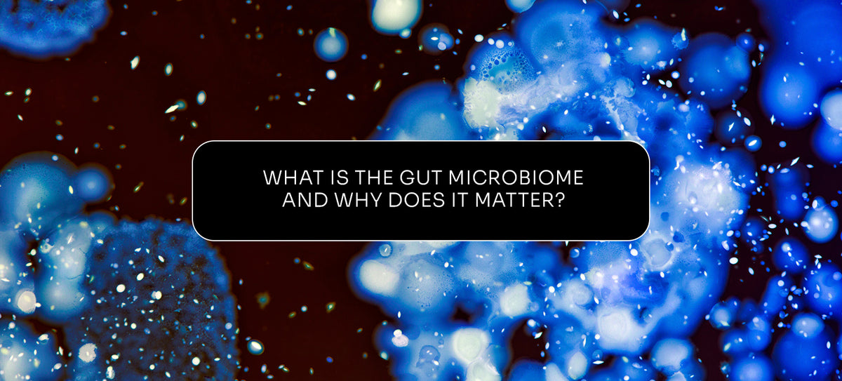 The Amazing Gut Microbiome