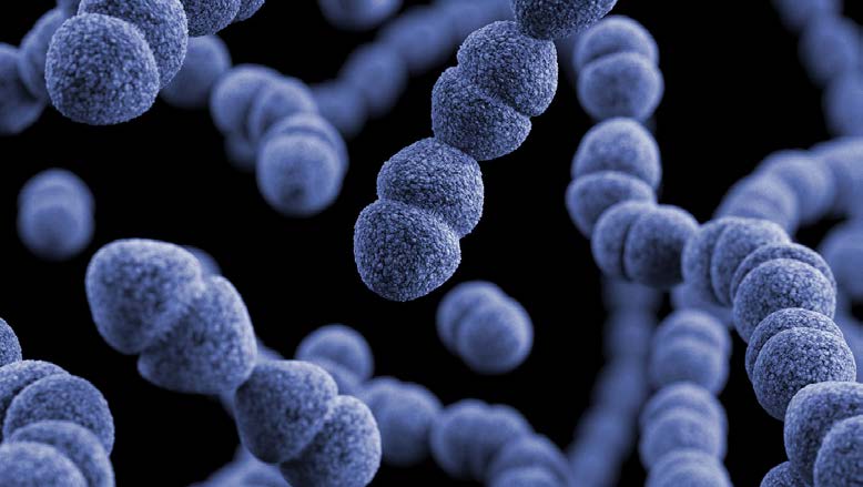 Jona Research Identifies Colon Polyp Risk Signals in  Adults Under 40 — Years Before Standard Screening Applies