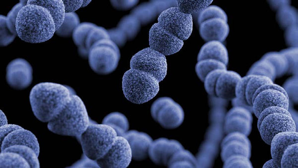 Jona Research Identifies Colon Polyp Risk Signals in  Adults Under 40 — Years Before Standard Screening Applies