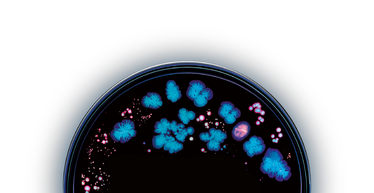 We address root causes, not quick fixes background image